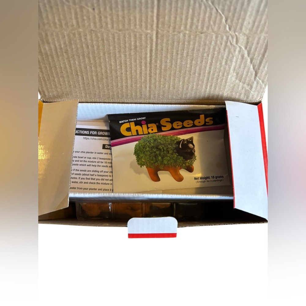 Chia Pet | Richard Simmons - Picture 2 of 2